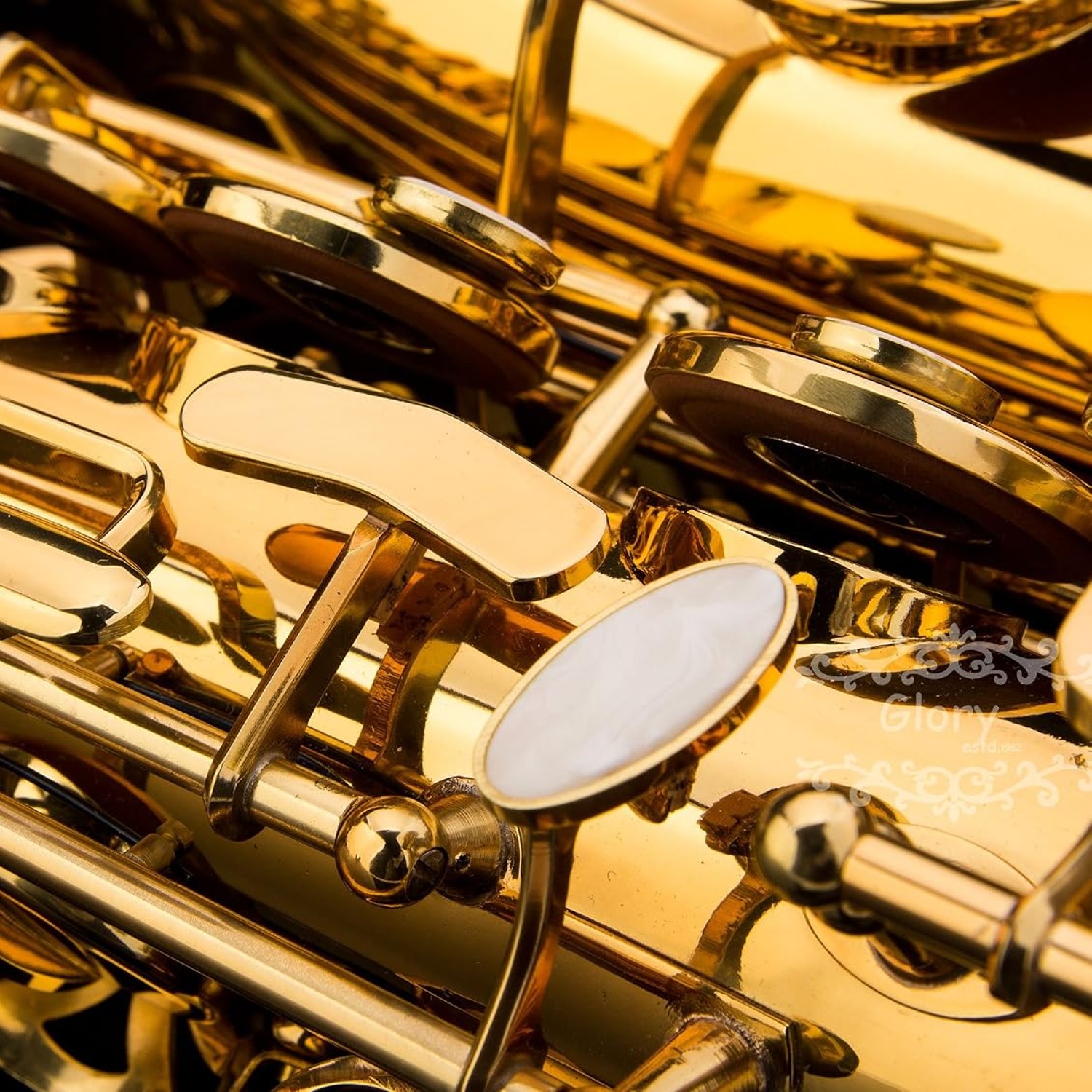 GLORY Eb Alto Saxophone with Hard Case and Starter Kit: image 8