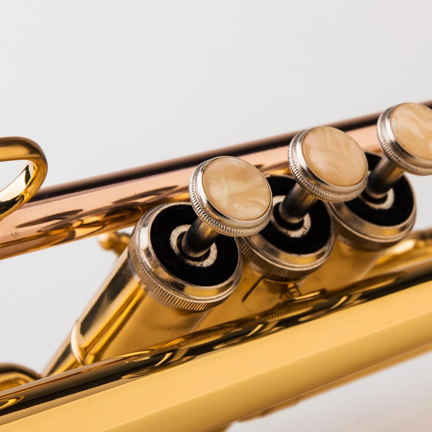 Bb Trumpet with Case and Gloves: image 5